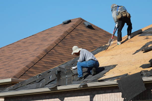 Best Roof Leak Repair  in Williamson, AZ