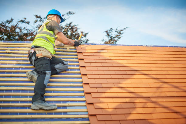 Best Cold Roofs  in Williamson, AZ